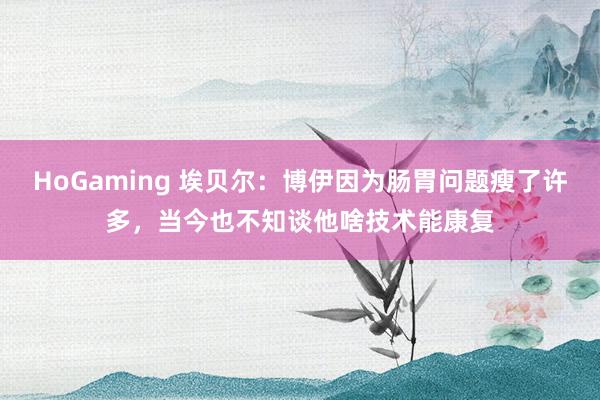   HoGaming 埃贝尔：博伊因为肠胃问题瘦了许多，当今也不知谈他啥技术能康复