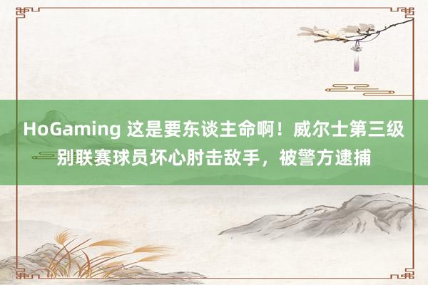   HoGaming 这是要东谈主命啊！威尔士第三级别联赛球员坏心肘击敌手，被警方逮捕