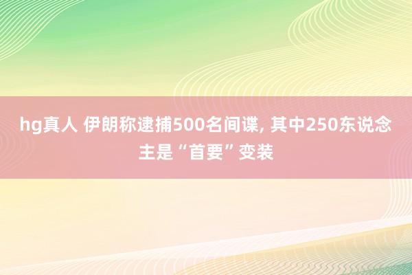   hg真人 伊朗称逮捕500名间谍, 其中250东说念主是“首要”变装