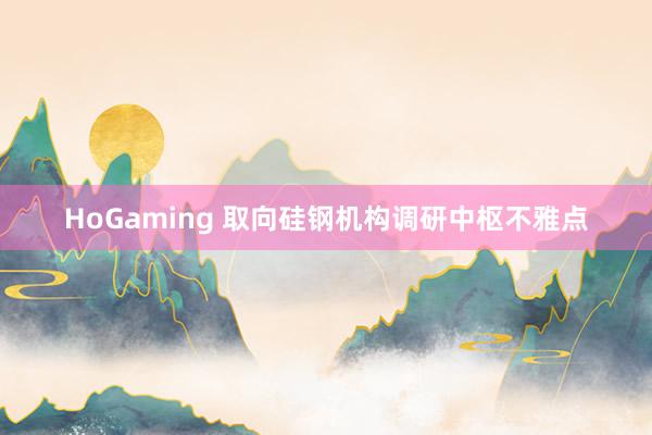 HoGaming 取向硅钢机构调研中枢不雅点