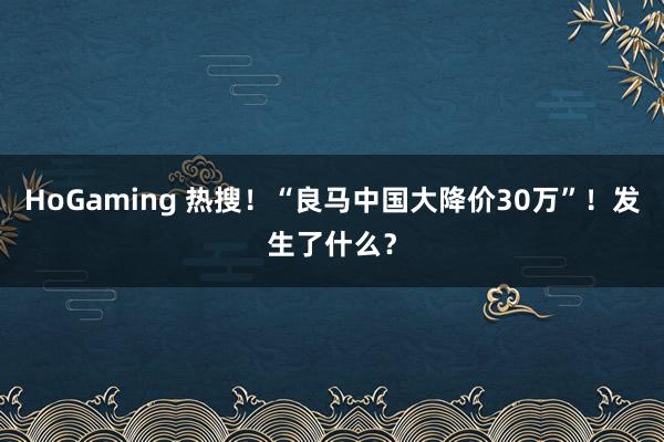   HoGaming 热搜！“良马中国大降价30万”！发生了什么？