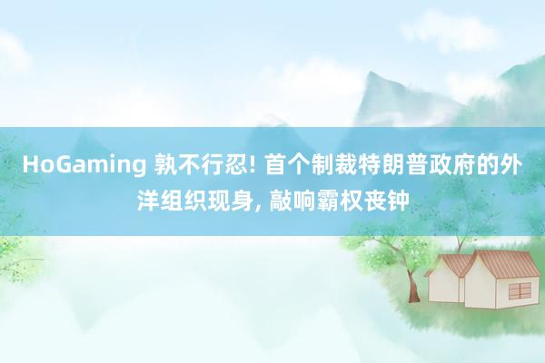   HoGaming 孰不行忍! 首个制裁特朗普政府的外洋组织现身, 敲响霸权丧钟