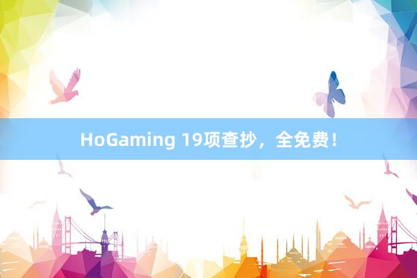   HoGaming 19项查抄，全免费！