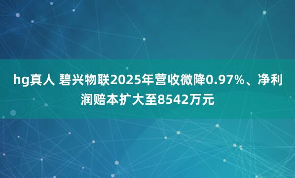 hg真人 碧兴物联2025年营收微降0.97%、净利润赔本扩大至8542万元