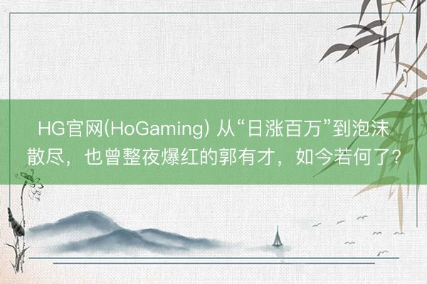 HG官网(HoGaming) 从“日涨百万”到泡沫散尽,也曾整夜爆红的郭有才,如今若何了?