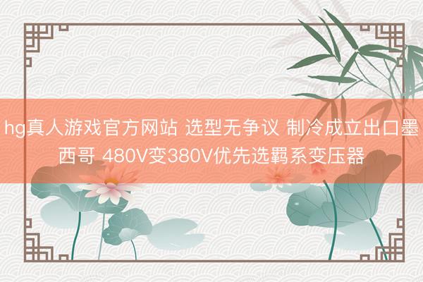 hg真人游戏官方网站 选型无争议 制冷成立出口墨西哥 480V变380V优先选羁系变压器