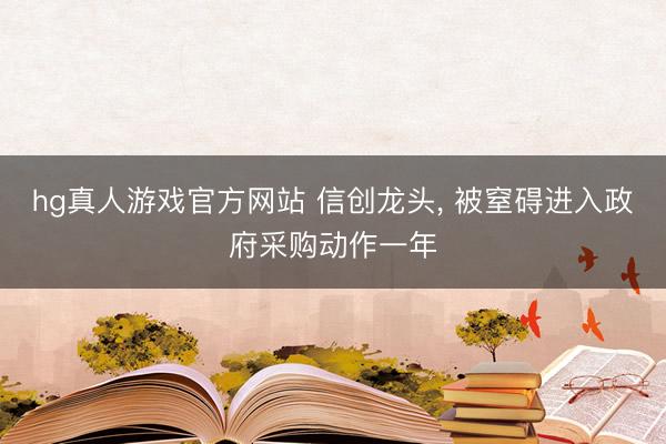 hg真人游戏官方网站 信创龙头， 被窒碍进入政府采购动作一年