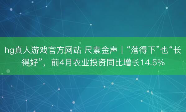 hg真人游戏官方网站 尺素金声｜“落得下”也“长得好”，前4月农业投资同比增长14.5%