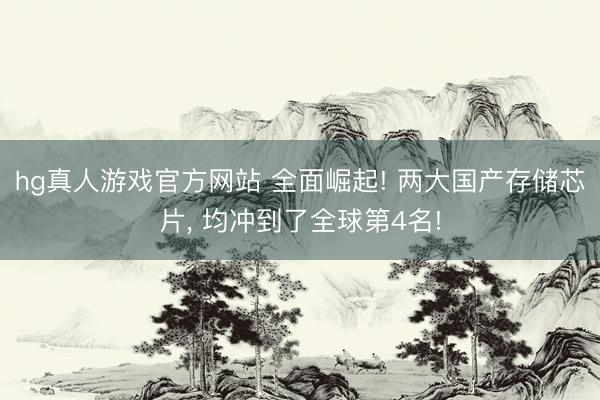 hg真人游戏官方网站 全面崛起! 两大国产存储芯片， 均冲到了全球第4名!