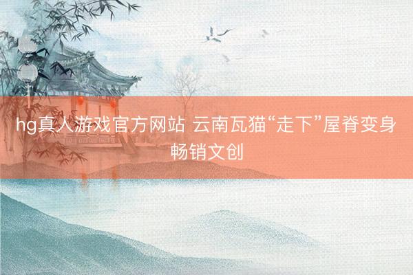 hg真人游戏官方网站 云南瓦猫“走下”屋脊变身畅销文创